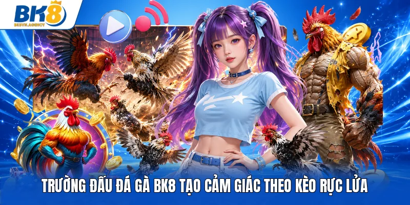 Trường đấu đá gà BK8 tạo cảm giác theo kèo rực lửa